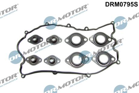 Комплект прокладок з різних матеріалів DR Motor DRM0795S