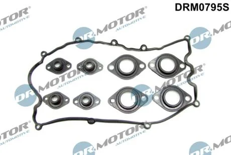 Комплект прокладок з різних матеріалів DR Motor DRM0795S