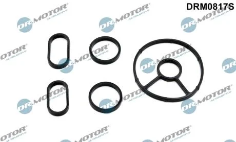 Комплект прокладок гумових DR Motor DRM0817S