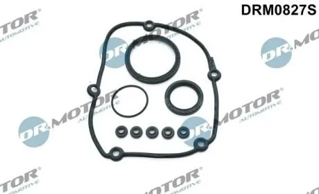 Комплект прокладок з різних матеріалів DR Motor DRM0827S