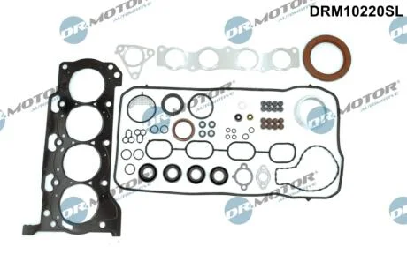 Комплект прокладок з різних матеріалів DR Motor DRM10220SL