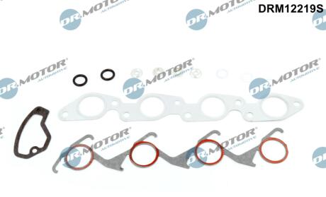 Комплект прокладок з різних матеріалів DR Motor DRM12219S