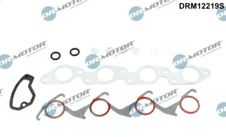 Комплект прокладок з різних матеріалів DR Motor DRM12219S