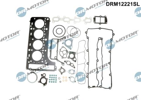 Комплект прокладок з різних матеріалів DR Motor DRM12221SL