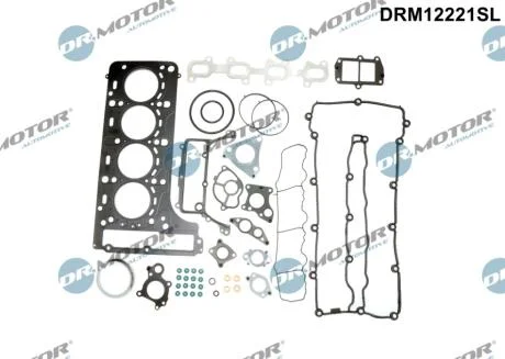 Комплект прокладок з різних матеріалів DR Motor DRM12221SL