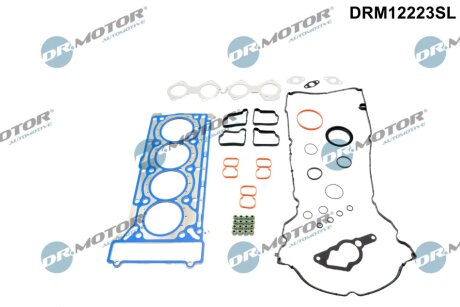 Комплект прокладок з різних матеріалів DR Motor DRM12223SL
