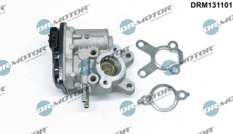 Клапан рециркуляції газів DR Motor DRM131101