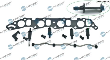 Комплект прокладок з різних матеріалів DR Motor DRM18801R