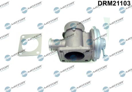 Клапан рециркуляції газів DR Motor DRM21103