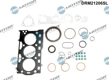 Комплект прокладок з різних матеріалів DR Motor DRM21206SL