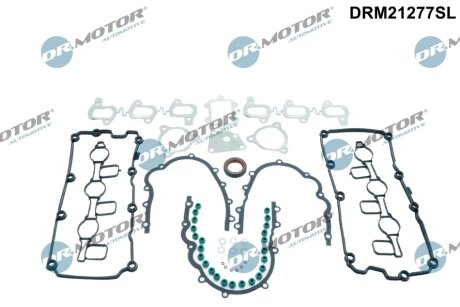 Комплект прокладок з різних матеріалів DR Motor DRM21292SL
