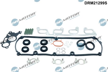 Комплект прокладок з різних матеріалів DR Motor DRM21299S