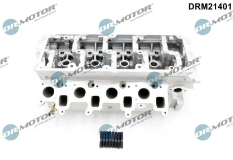 Головка блока DR Motor DRM21401