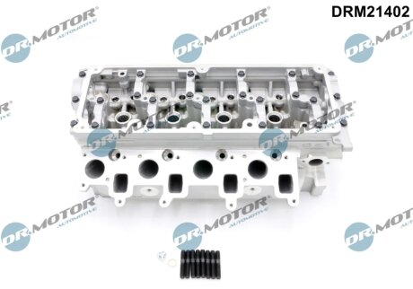 Головка блока DR Motor DRM21402