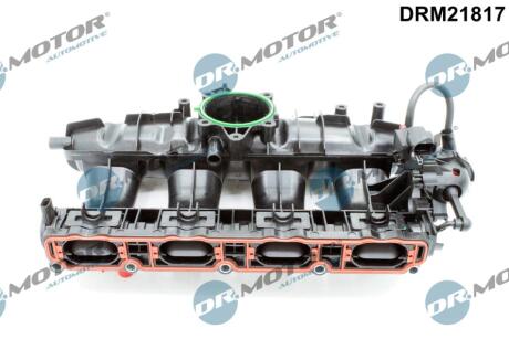 Колектор впускний DR Motor DRM21817