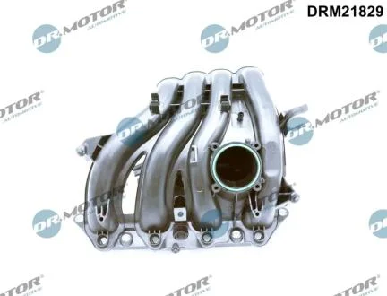 Колектор впускний DR Motor DRM21829