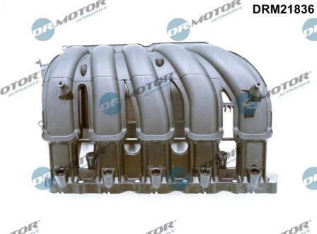 Колектор впускний DR Motor DRM21836
