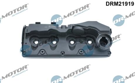 Кришка головки блоку циліндрів ДВЗ DR Motor DRM21919