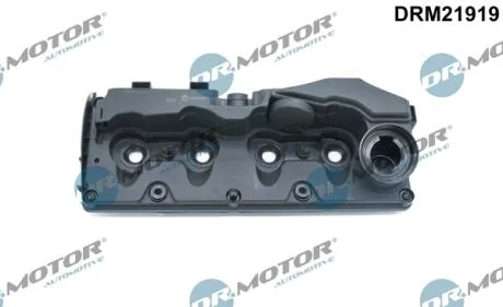 Кришка головки блоку циліндрів ДВЗ DR Motor DRM21919