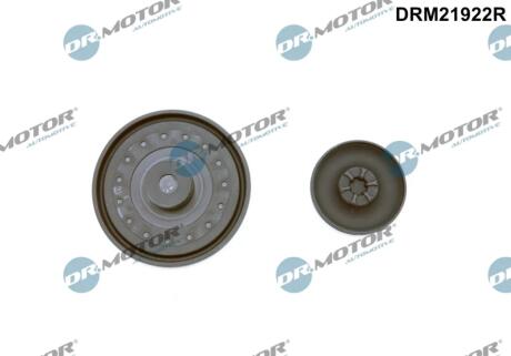 Комплект прокладок гумових DR Motor DRM21922R
