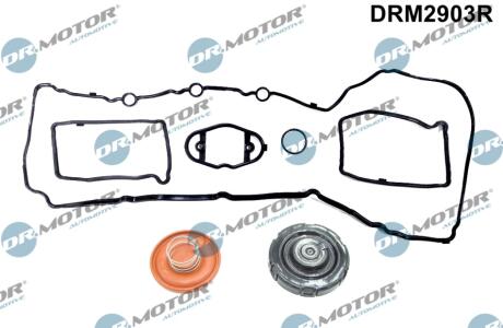 Комплект прокладок з різних матеріалів DR Motor DRM2903R