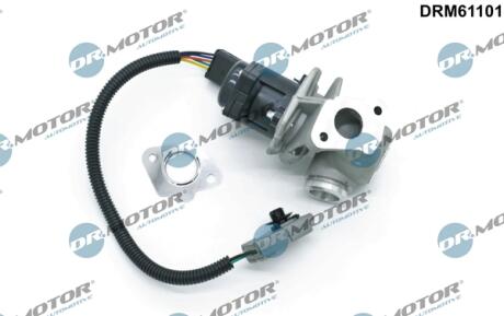 Клапан рециркуляції газів DR Motor DRM61101