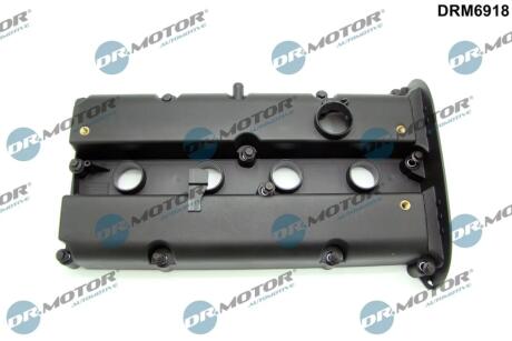 Кришка головки блоку циліндрів ДВЗ DR Motor DRM6918