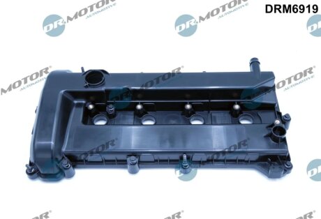 Кришка голівки циліндра DR Motor DRM6919