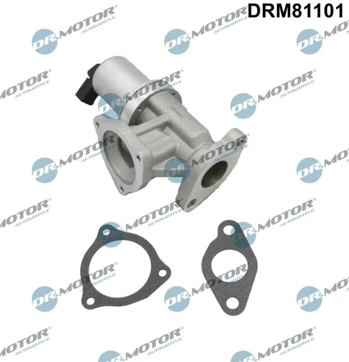 Клапан рециркуляції газів DR Motor DRM81101 (фото 1)