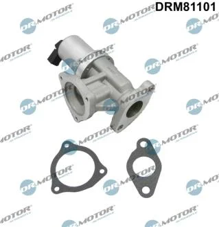 Клапан рециркуляції газів DR Motor DRM81101