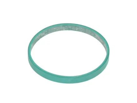 Прокладка, корпус дросельної заслінки BMW N47 C20/N57 D30 (вир-во Elring) ELRING 529.970