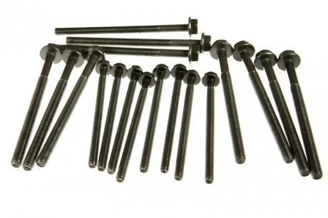 Болт головки блоку (комплект) PSA / FORD 2.2 HDI 4HU/4HV/P8FA/P8FB/QVFA/QWFA (вир-во Elring) ELRING 733.100