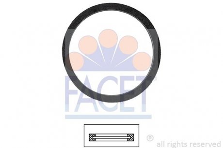 Уплотнительное кольцо термостата Fiat Ducato 2.0 jtd (02-06) FACET 7.9560 (фото 1)
