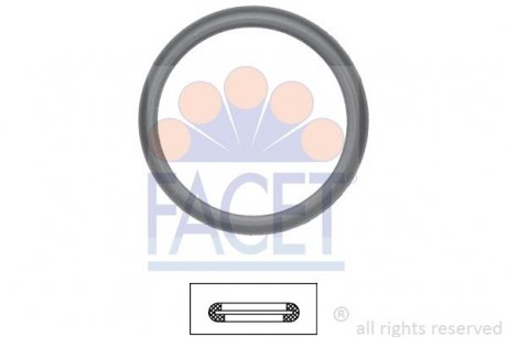 Уплотнительное кольцо термостата Ford Tourneo connect 1.8 16v (02-13) FACET 7.9598 (фото 1)