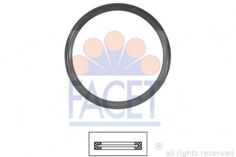 Уплотнительное кольцо термостата Ford Fusion 1.4 (02-12) FACET 7.9675 (фото 1)