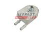 Радиатор масляный Dodge Journey (08-)/ Jeep Compass (06-) 2.4i FAST FT01022 (фото 2)
