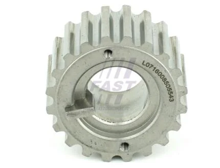 Шестерня распредвала Renault Logan, Clio II,Megane III,Kangoo 1.5dCi (04-)  Fast FAST FT45604