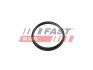 Прокладка вакуумного насоса Ford Transit (13-) 2.2TDCI FAST FT49853 (фото 2)