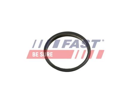 Прокладка вакуумного насоса Ford Transit (13-) 2.2TDCI FAST FT49853
