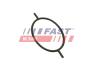 Ущільнююче кільце FORD TRANSIT CONNECT 02&gt; 1.8 TDCI 06&gt; SERWO HAMULCOWE FAST FT49923 (фото 2)