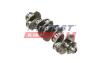 Коленвал Fiat Ducato/Citroen Jumper/Peugeot Boxer (06-)(14-) FAST FT51702 (фото 1)