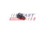 Сапун воздуховпускной Citroen Berlingo (08-) 1.6 HDI FAST FT55870 (фото 1)