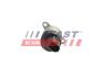 Регулятор давления топлива Fiat Ducato (06-) 2.3 JTD FAST FT80801 (фото 2)