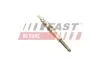Свічка розжарювання Renault Master 1.9DCI (98-) Fast FAST FT82726 (фото 1)