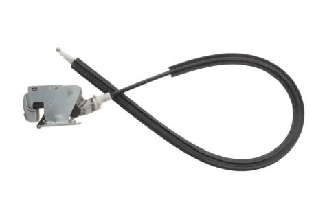 Замок двери зад. левый нижний Fiat Ducato (06-)(14-)  Fast FAST FT95382