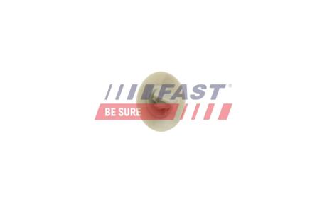 КЛІПСА МОЛДИНГУ IVECO DAILY 06> FAST FT96608