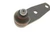Опора кульк. RENAULT (Febi) FEBI BILSTEIN 06952 (фото 3)
