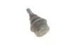 Опора кульова MERCEDES E-CLASS, CLS, S-CLASS, SL 98-12 перед. міст (Вир-во FEBI) FEBI BILSTEIN 23417 (фото 2)