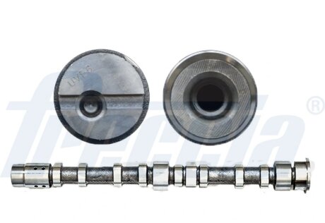 Вал розподільчий FRECCIA CM05-2197