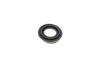 Ремкомплект суппорта заднего MB Vito (W638) (d=33mm)(Bosch)(+поршень/направляющи FRENKIT 733020 (фото 5)